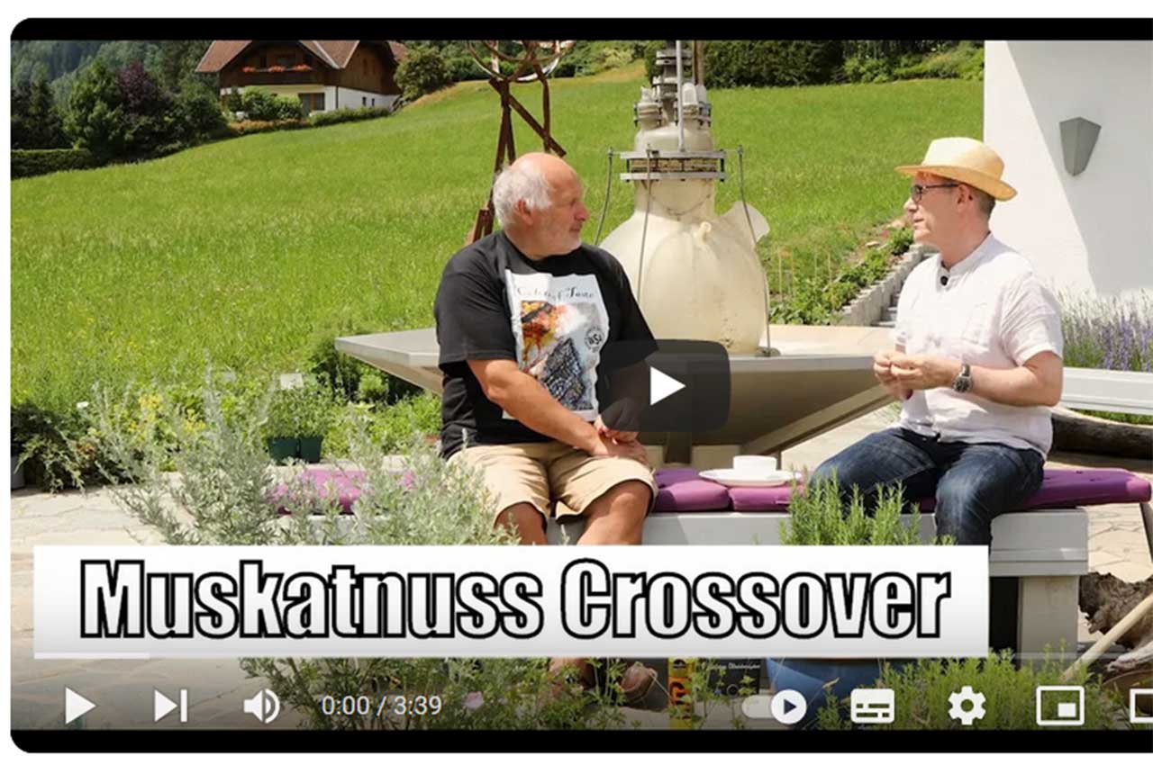 Die faszinierende Reise der Muskatnuss: Von Goldwert zu Gin-Genuss