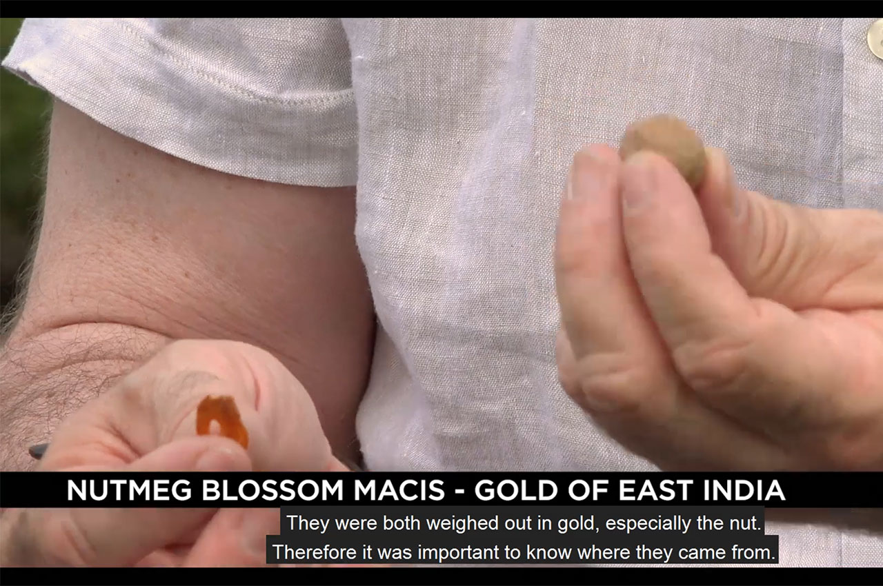 Nutmeg and Flavored Gin: A Journey through Spices and Aromas